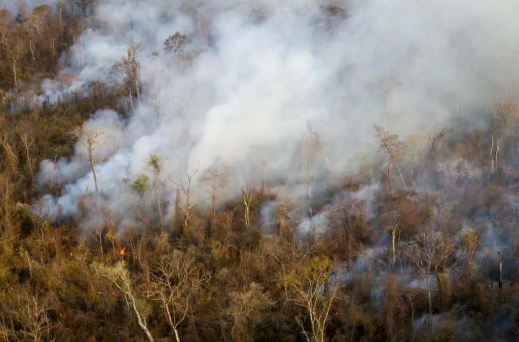 El Gobierno de Jujuy, a través de Fiscalía de Estado, presentó la denuncia penal con el fin de investigar y dar con los responsables del incendio en Yuto.