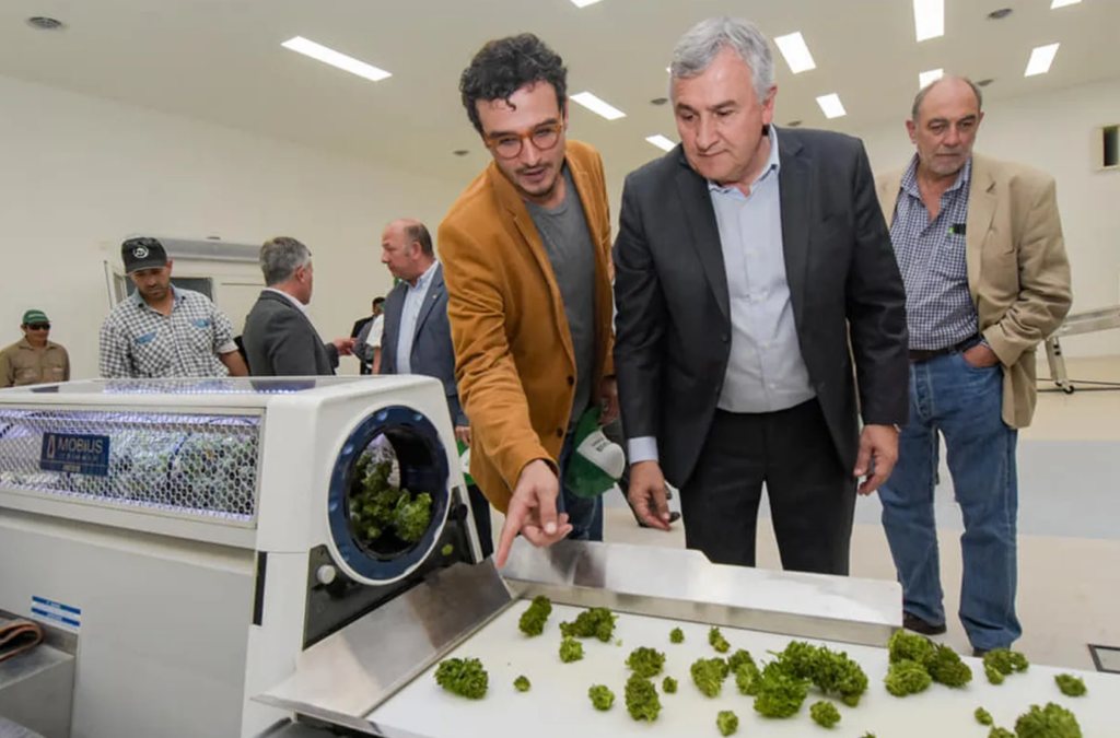 Anmat habilitó a la empresa estatal jujeña como la primera planta industrial de producción y procesamiento farmacéutico de cannabis medicinal del país.